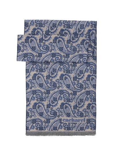 Шарф из вискозы с узором пейсли - A051SZ0DHATKSK23-VIS8 Шарф муж. (200)