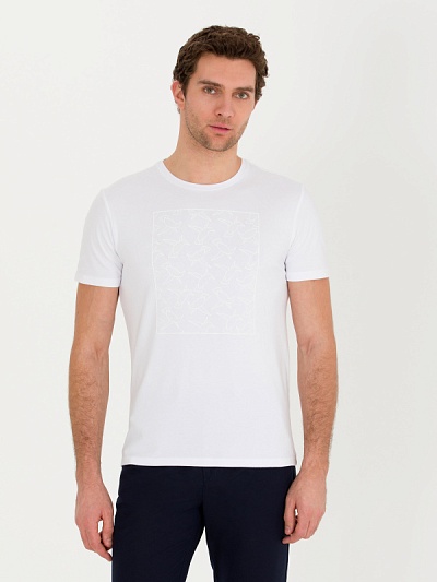 Футболка с принтом "птички кашарель" - G051SZ0110ELITA Футболка муж. (VR013, 3XL)