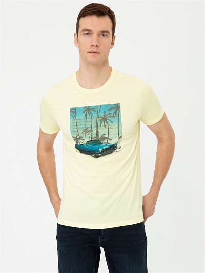 Футболка с принтом "авто под пальмами" - G051SZ0110CARY Футболка муж. (VR044, L)