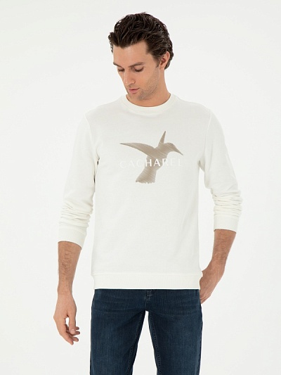 Свитшот с принтом - G051SZ0820CAIO Толстовка муж. (VR019, 2XL)