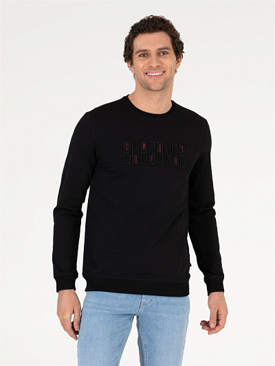 Свитшот с вышивкой на груди - G051SZ0820SEND Толстовка муж. (VR046, S)