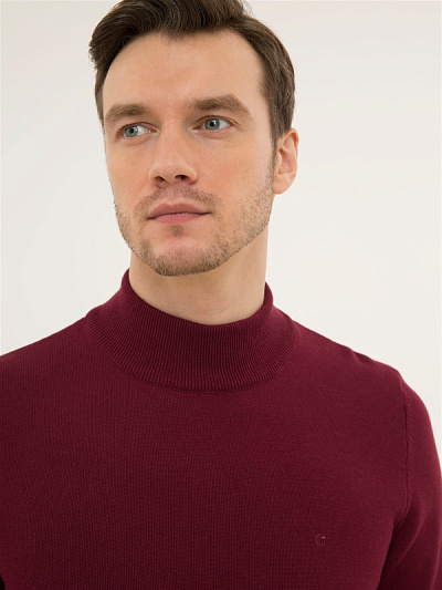 Водолазка хлопковая с воротником-стойка - G051GL0TK0LEOB Кофта муж. (VR014, XL)