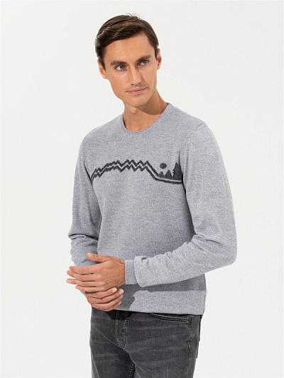 Джемпер с принтом - G051SZ0TK0JUAN Кофта муж. (VR024, 2XL)
