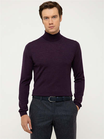 Водолазка c добавлением шерсти - G051SZ0TK0ELIT Кофта муж. (VR038, XL)